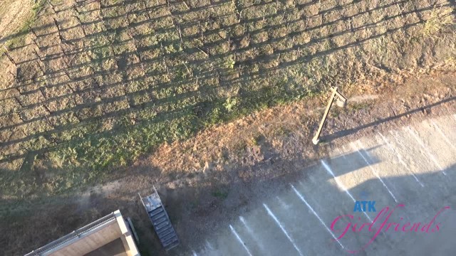 Что тут произошло после насыщенной прогулки?